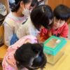 カニさん、よろしくお願いします🦀